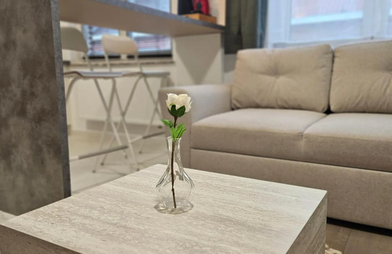 Brussels Apartment With Terrace 1