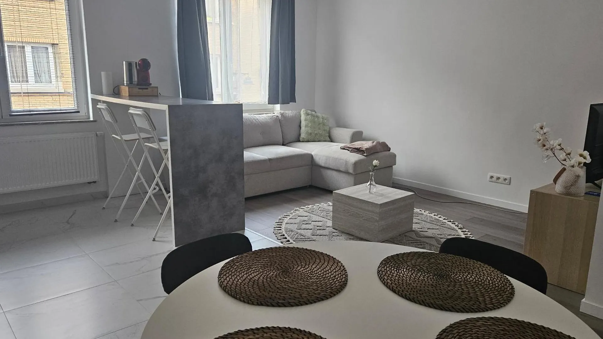 Brussels Apartment With Terrace 1 Belgium